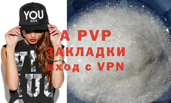 стафф Корсаков