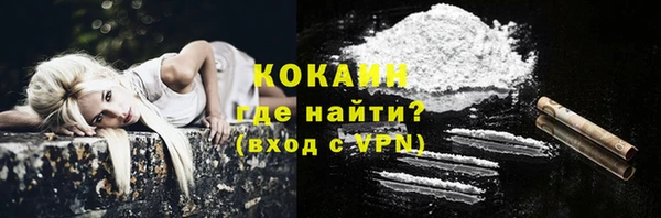 стафф Корсаков
